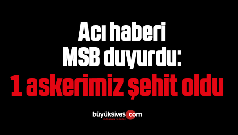 Pençe-Yıldırım Operasyonu’nda bir asker şehit oldu