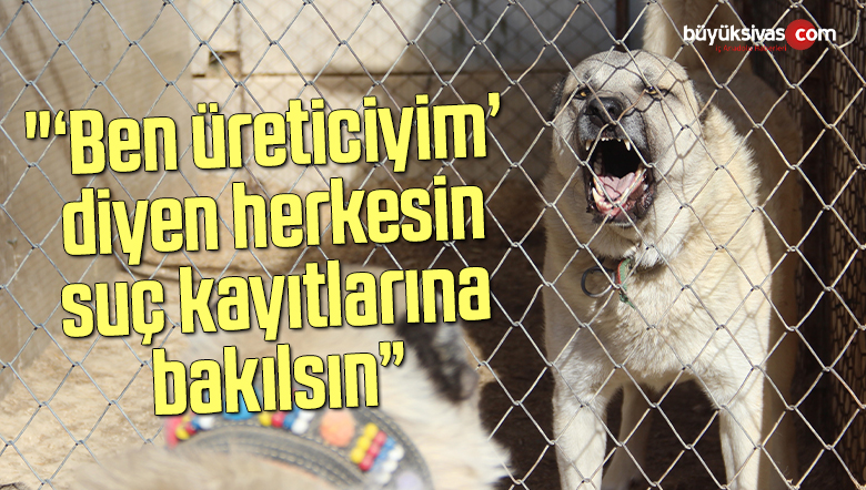 Kangal Haberleri Buyuk Sivas Haber Sivas Haberleri Haberler Guncel Yerel Haberler