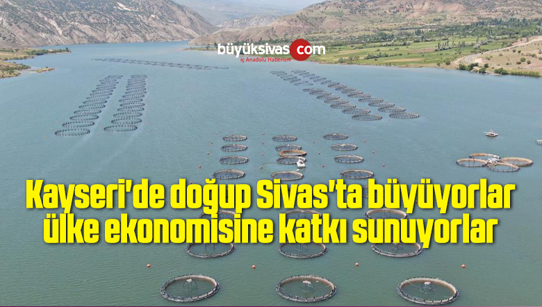 Kayseri’de doğup Sivas’ta büyüyorlar ülke ekonomisine katkı sunuyorlar