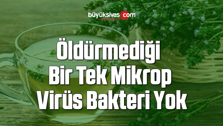 Öldürmediği Bir Tek Mikrop Virüs Bakteri Yok