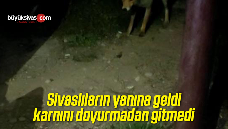 Çiftçilerin yanına geldi, karnını doyurmadan gitmedi