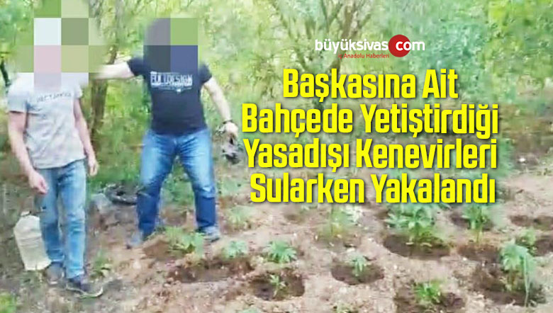 yasadışı