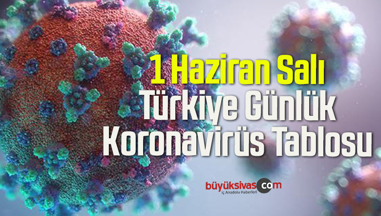  1 Haziran Salı Türkiye Günlük Koronavirüs Tablosu