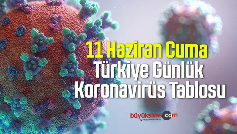 11 Haziran Cuma Türkiye Günlük Koronavirüs Tablosu