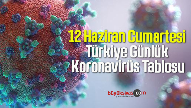 12 Haziran Cumartesi Türkiye Günlük Koronavirüs Tablosu