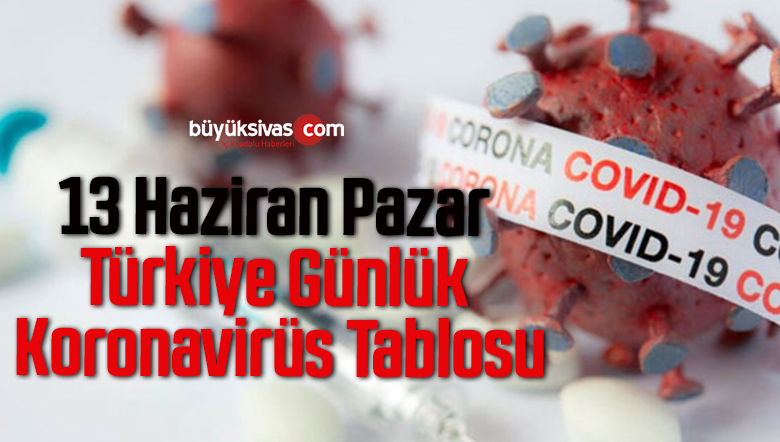 13 Haziran Pazar Türkiye Günlük Koronavirüs Tablosu