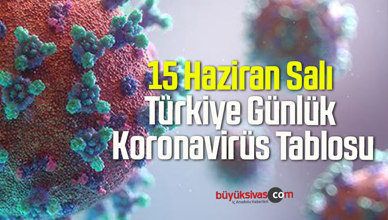 15 Haziran Salı Türkiye Günlük Koronavirüs Tablosu