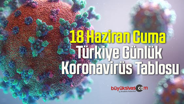 18 Haziran Cuma Türkiye Günlük Koronavirüs Tablosu