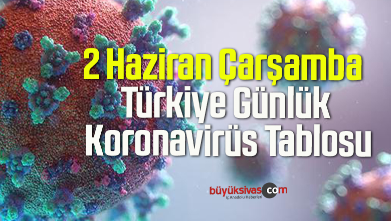 2 Haziran Çarşamba Türkiye Günlük Koronavirüs Tablosu