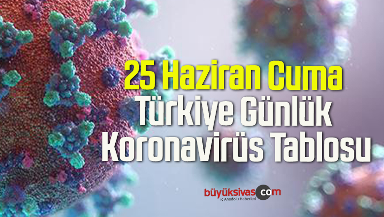 25 Haziran Cuma Türkiye Günlük Koronavirüs Tablosu
