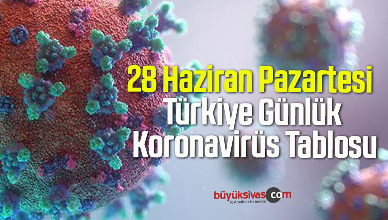 28 Haziran Pazartesi Türkiye Günlük Koronavirüs Tablosu