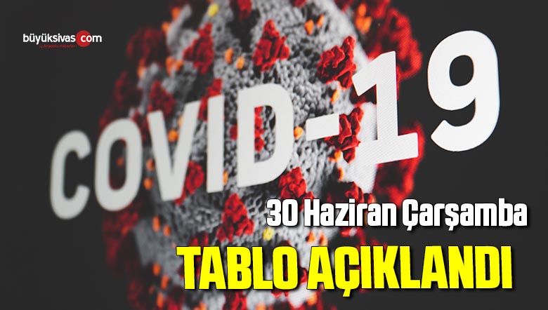 30 Haziran Çarşamba Türkiye Günlük Koronavirüs Tablosu
