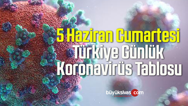 5 Haziran Cumartesi Türkiye Günlük Koronavirüs Tablosu