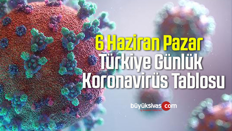 6 Haziran Pazar Türkiye Günlük Koronavirüs Tablosu