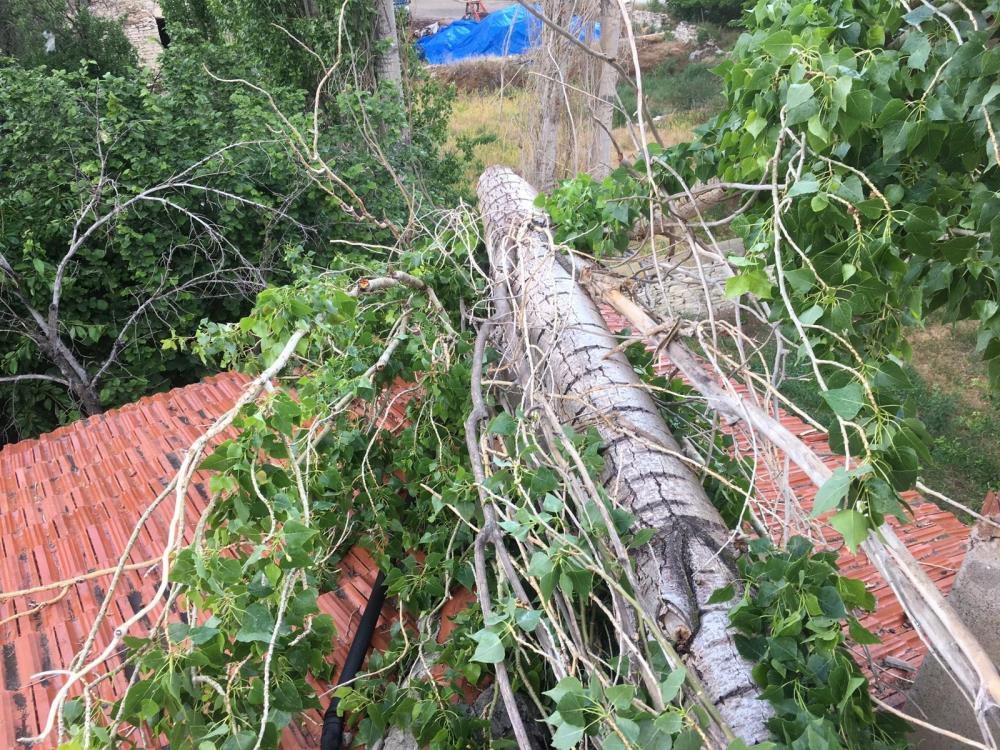 Sivas’ta Rüzgarın Devirdiği Ağaç Çatıda Hasara Neden Oldu