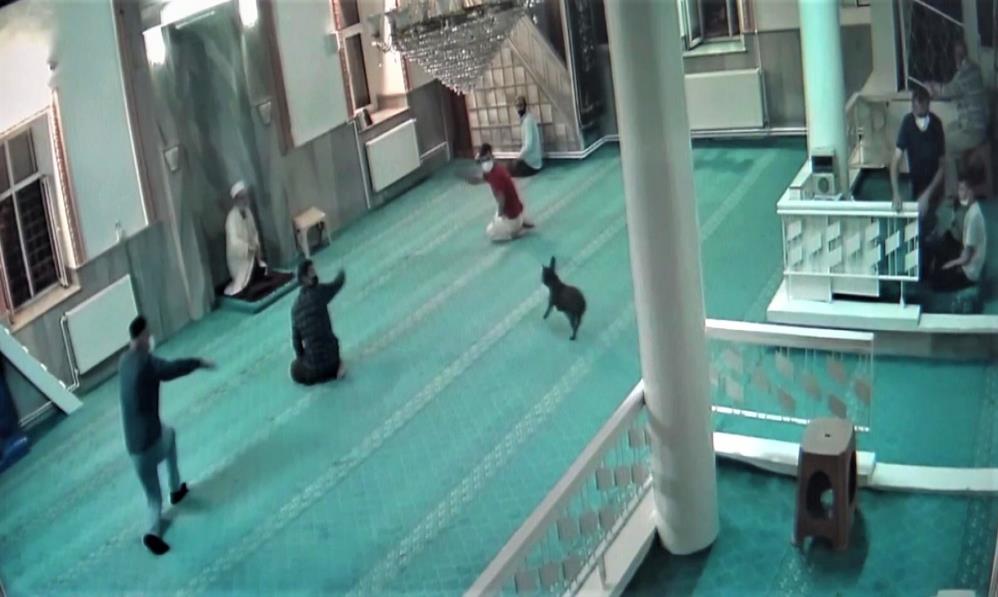 Camide Hayatlarının Şokunu Yaşadılar