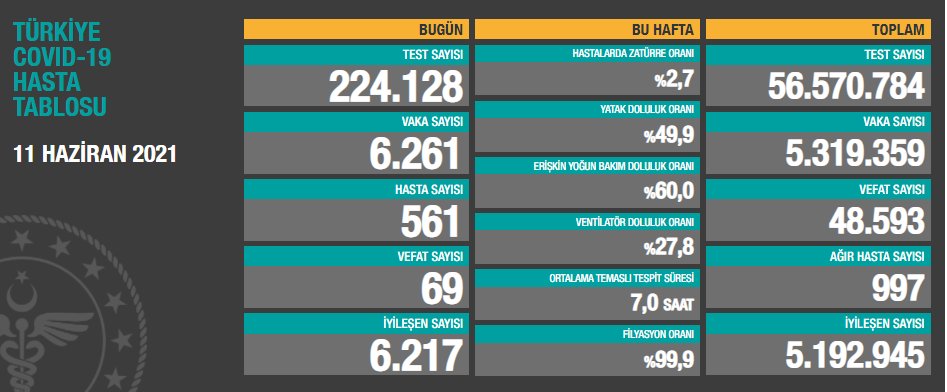 11 Haziran Cuma Türkiye Günlük Koronavirüs Tablosu