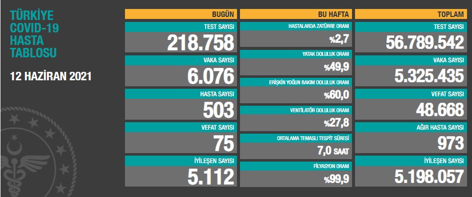 12 Haziran Cumartesi Türkiye Günlük Koronavirüs Tablosu