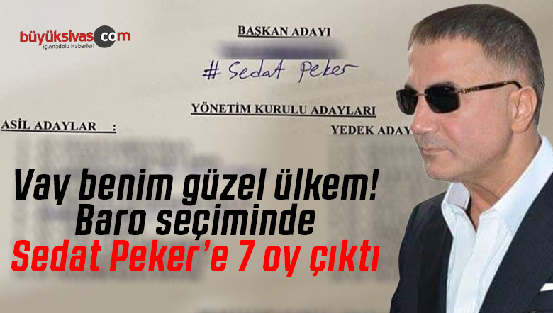 Sedat Peker’e 7 oy çıktı