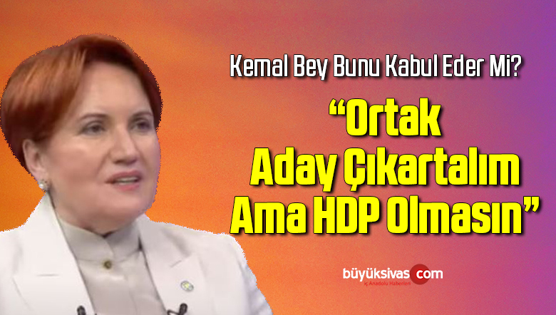 Meral Akşener: Ortak aday çıkaralım ama HDP olmasın
