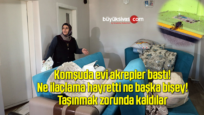 Evlerini akrepler bastı, hayatları kabusa döndü