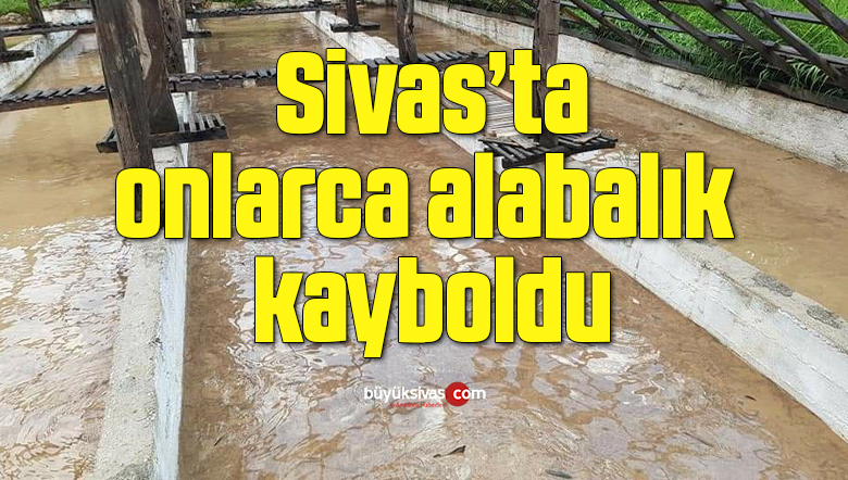 Gürün’de sel, tonlarca alabalık kayıp