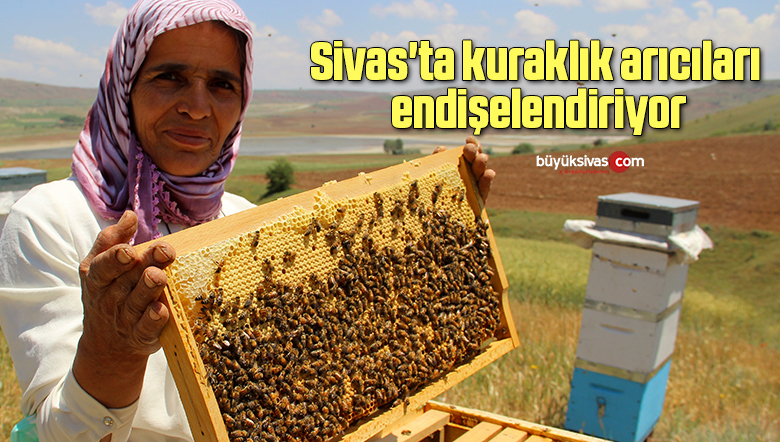 arı