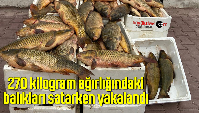 270 kilogram ağırlığındaki balıkları satarken yakalandı