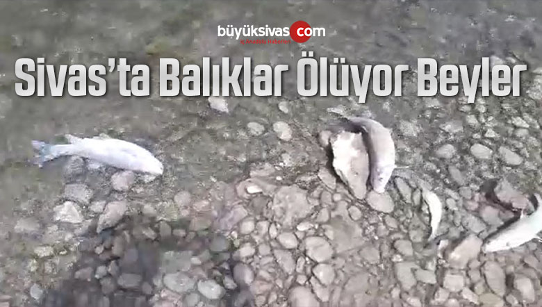 balıklar