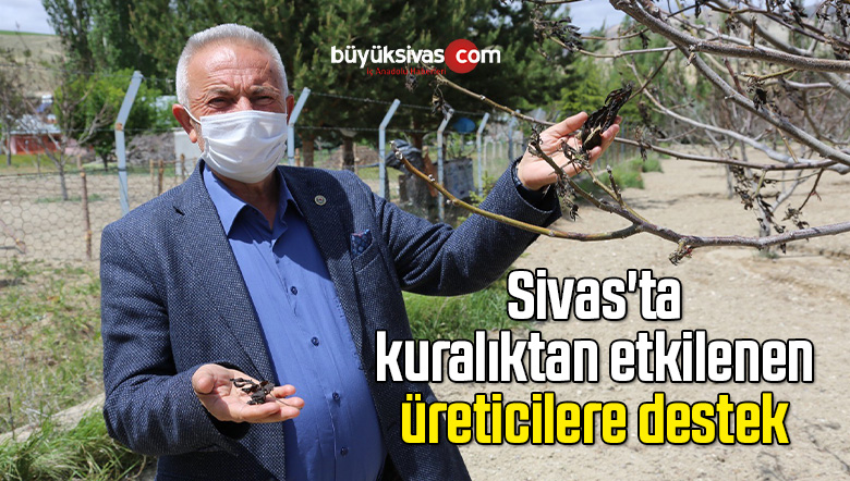 Sivas’ta kuralıktan etkilenen üreticilere destek