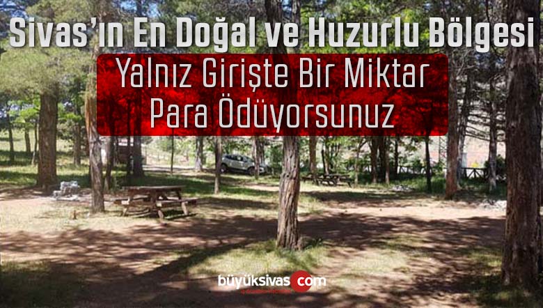 Kent merkezine yaklaşık 12 kilometre! En huzurlu ve doğal bölge