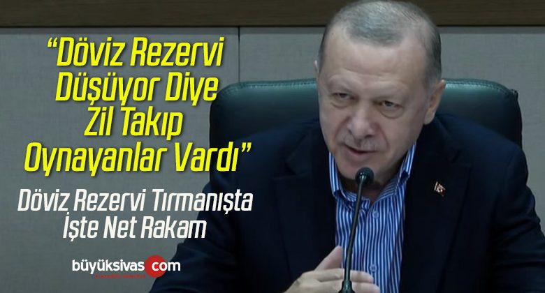 Erdoğan Merkez Bankası Döviz Rezervine İlişkin Net Rakam Verdi