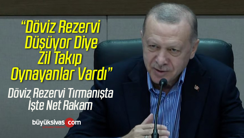 Erdoğan Merkez Bankası Döviz Rezervine İlişkin Net Rakam Verdi
