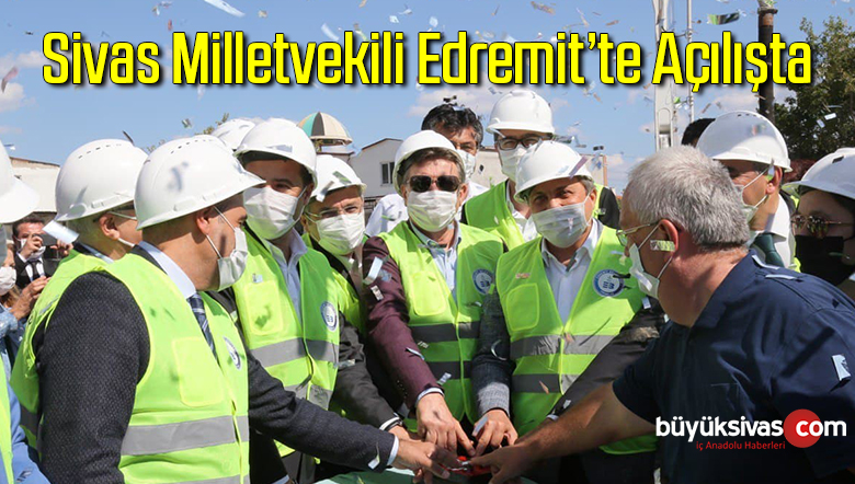 erdemit