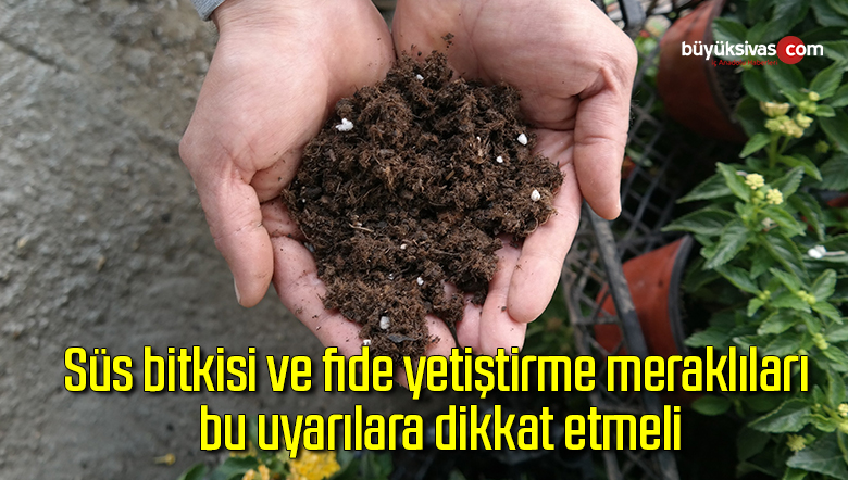 Süs bitkisi ve fide yetiştirme meraklıları bu uyarılara dikkat etmeli