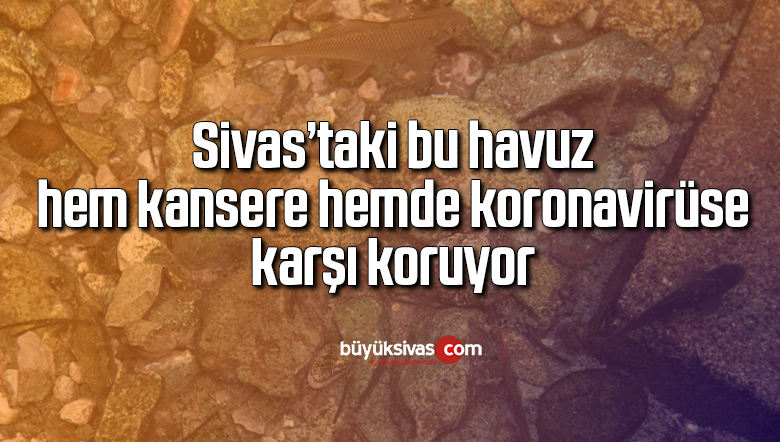 Bu su korona virüs ve kansere karşı koruyor