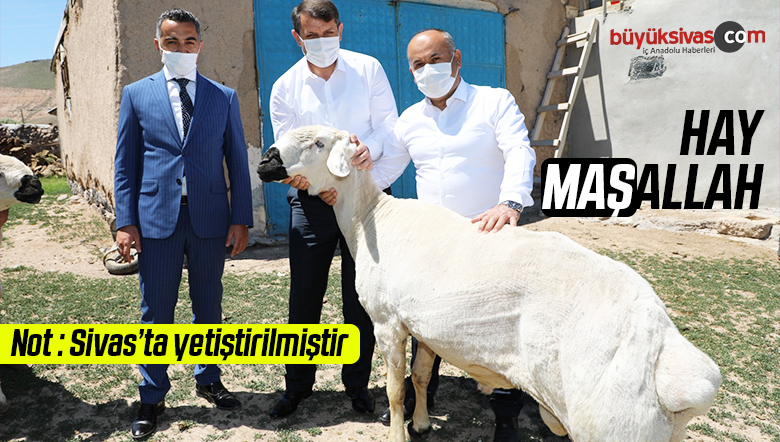 Vali Salih Ayhan Kangal İlçesinde