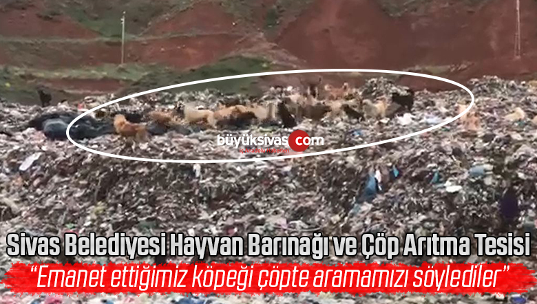 Sivas Belediyesi Hayvan Barınağı ve Çöp Arıtma Tesisi