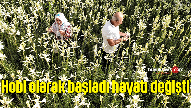 Hobi olarak başladı, hayatı değişti