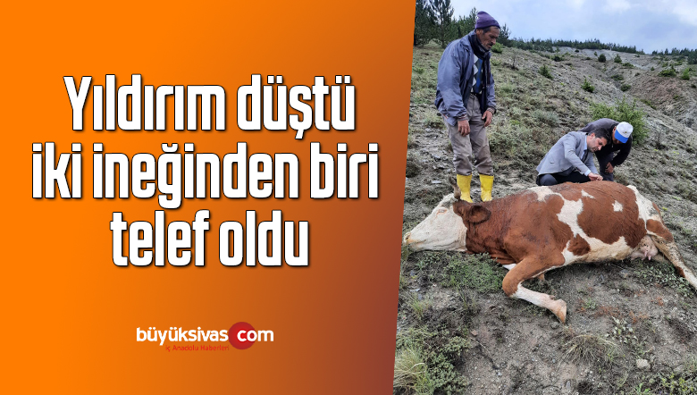 Yıldırım düştü, iki ineğinden biri telef oldu