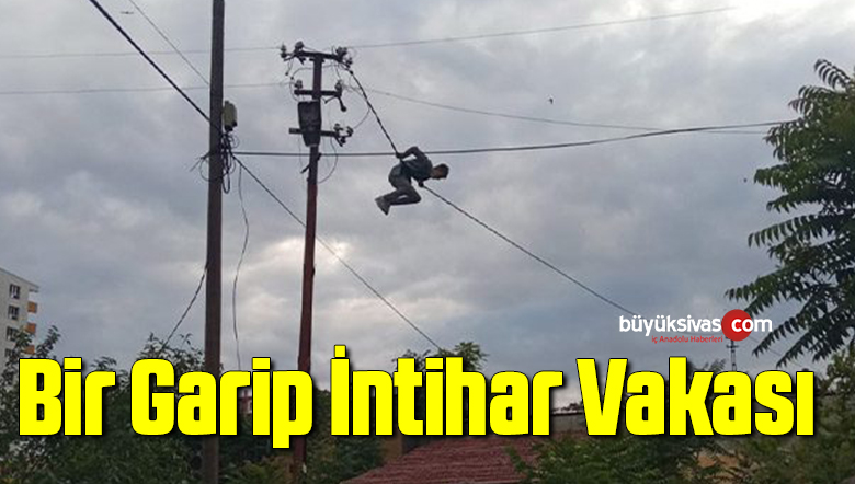 Elektrik kablolarına tırmandı, görenler gözlerine inanamadı