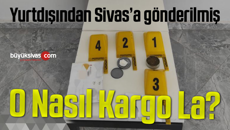 Yurtdışından Sivas’a kargo yoluyla gönderilen posta içerisinden ne çıktı?