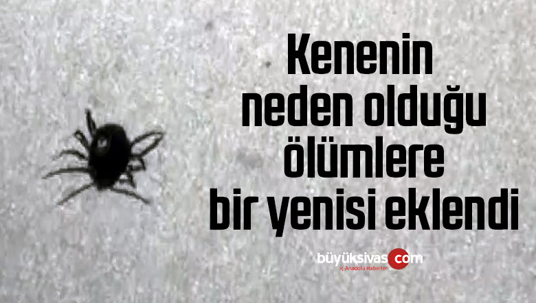 Kenenin neden olduğu ölümlere bir yenisi eklendi