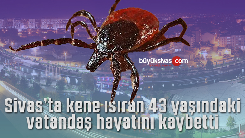 Sivas’ta kene ısıran 43 yaşındaki vatandaş hayatını kaybetti