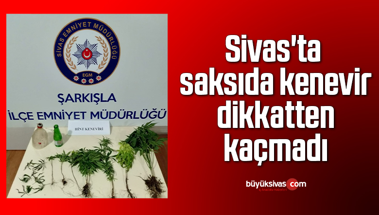 kenevir