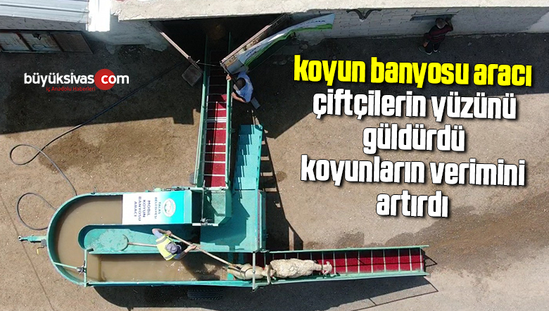 Koyun banyosu aracı çiftçilerin yüzünü güldürdü, koyunların verimini artırdı