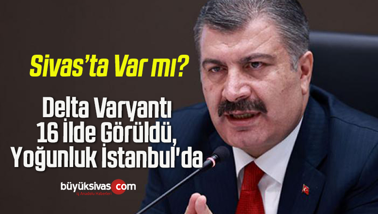 Sağlık Bakanı Koca: Delta Varyantı 16 İlde Görüldü, Yoğunluk İstanbul’da