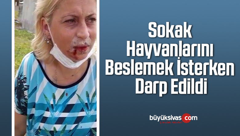Sokak Hayvanlarını Beslemek İsterken Darp Edildi