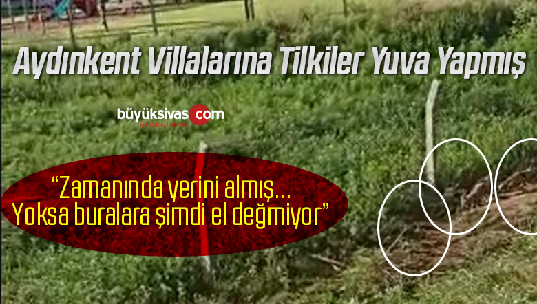 Aydınkent Villalarına Tilkiler Yuva Yapmış! “Zamanında yerini almış…”
