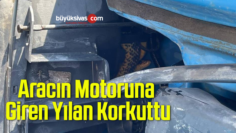 Aracın Motoruna Giren Yılan Korkuttu